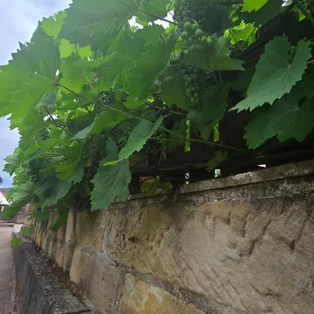 Pfaelzerblick Lambrecht- Mit Garten * Lambrecht (Pfalz)