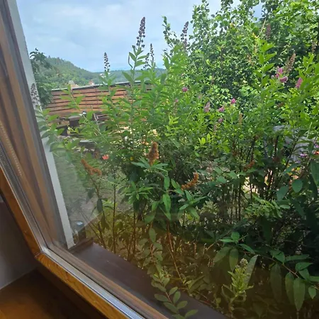 Pfaelzerblick Lambrecht- Mit Garten *